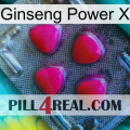 Ginseng Power X 13